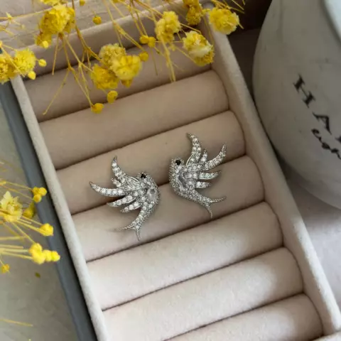 An image of a product called gümüşü qaşlı qaranquş sırğa